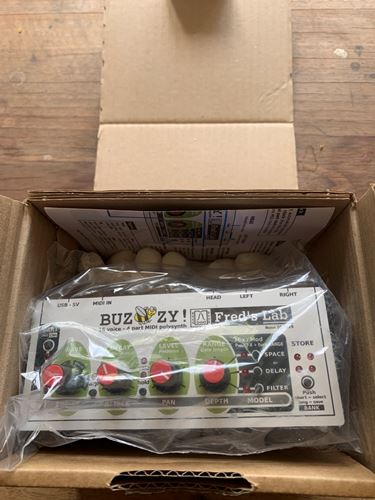 Unknown-Fred's Lab Buzzy